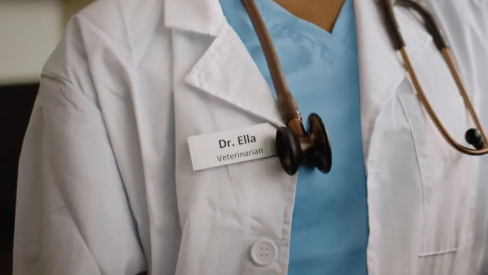 A close-up of a veterinarian’s white coat and stethoscope.