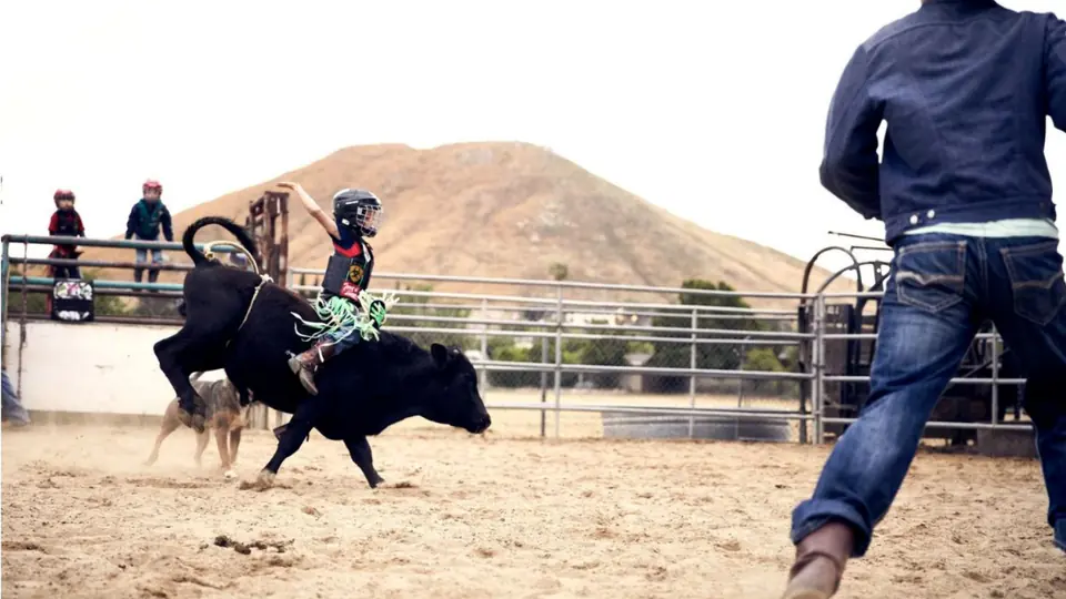 A child riding a small bull in the arena.