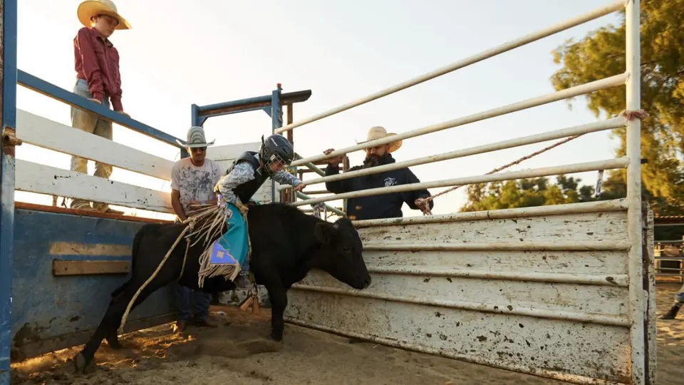 Riders working a bull in the pen.